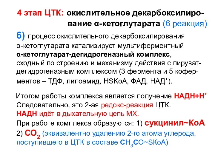 4 этап ЦТК: окислительное декарбоксилиро- вание α-кетоглутарата (6 реакция) 6)