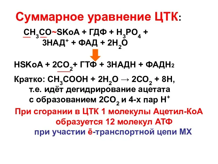 Суммарное уравнение ЦТК: CH3CO~SKoA + ГДФ + Н3РО4 + 3НАД+ + ФАД +