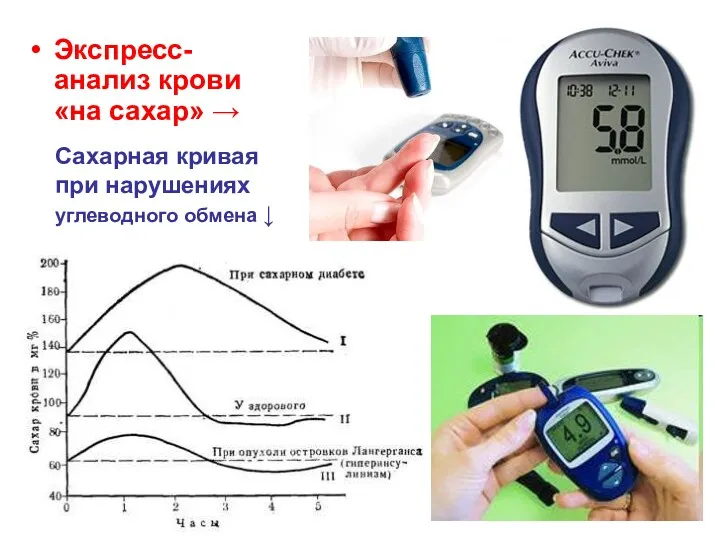 Сахарная кривая при нарушениях углеводного обмена ↓ Экспресс-анализ крови «на сахар» →