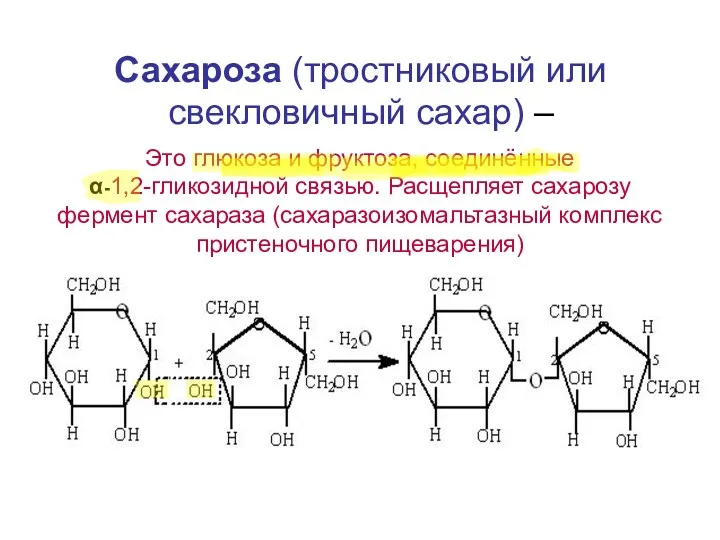 Сахароза (тростниковый или свекловичный сахар) – Это глюкоза и фруктоза, соединённые α-1,2-гликозидной связью.