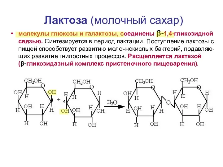 Лактоза (молочный сахар) молекулы глюкозы и галактозы, соединены β-1,4-гликозидной связью.