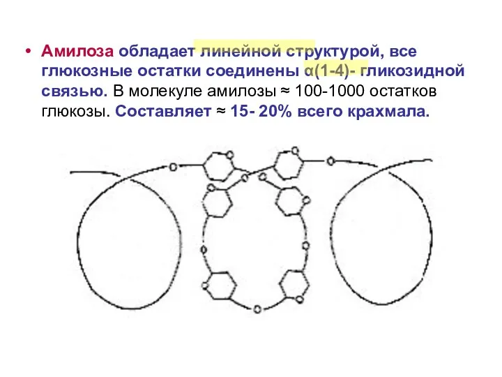 Амилоза обладает линейной структурой, все глюкозные остатки соединены α(1-4)- гликозидной связью. В молекуле