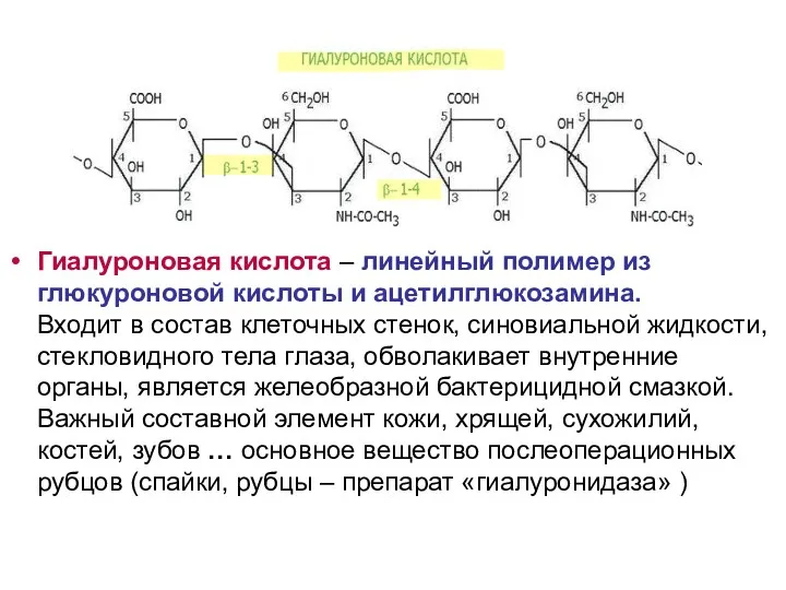 Гиалуроновая кислота – линейный полимер из глюкуроновой кислоты и ацетилглюкозамина.