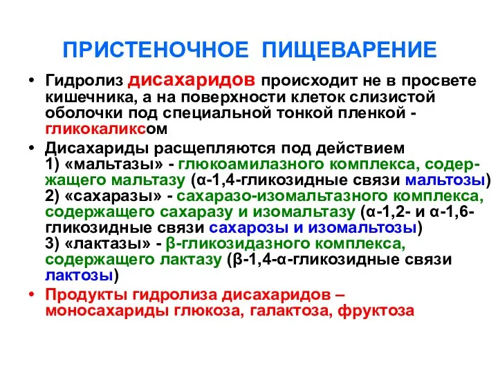 ПРИСТЕНОЧНОЕ ПИЩЕВАРЕНИЕ Гидролиз дисахаридов происходит не в просвете кишечника, а на поверхности клеток