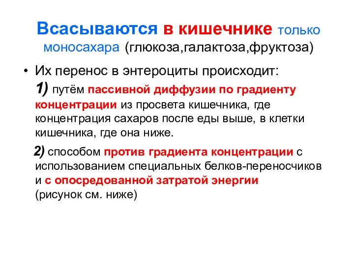 Всасываются в кишечнике только моносахара (глюкоза,галактоза,фруктоза) Их перенос в энтероциты