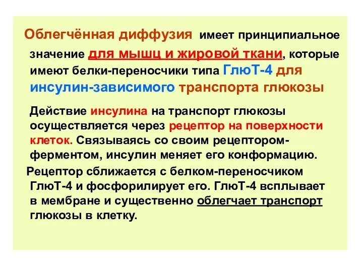 Облегчённая диффузия имеет принципиальное значение для мышц и жировой ткани,