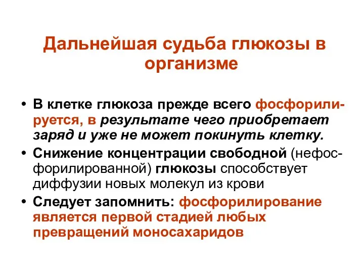 Дальнейшая судьба глюкозы в организме В клетке глюкоза прежде всего