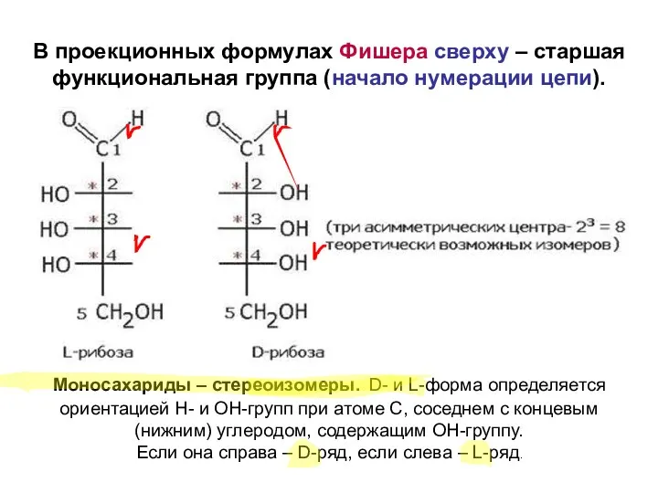 Моносахариды – стереоизомеры. D- и L-форма определяется ориентацией Н- и