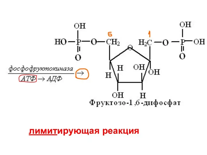 лимитирующая реакция