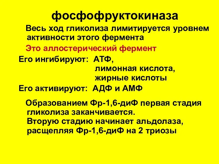 фосфофруктокиназа Весь ход гликолиза лимитируется уровнем активности этого фермента Это