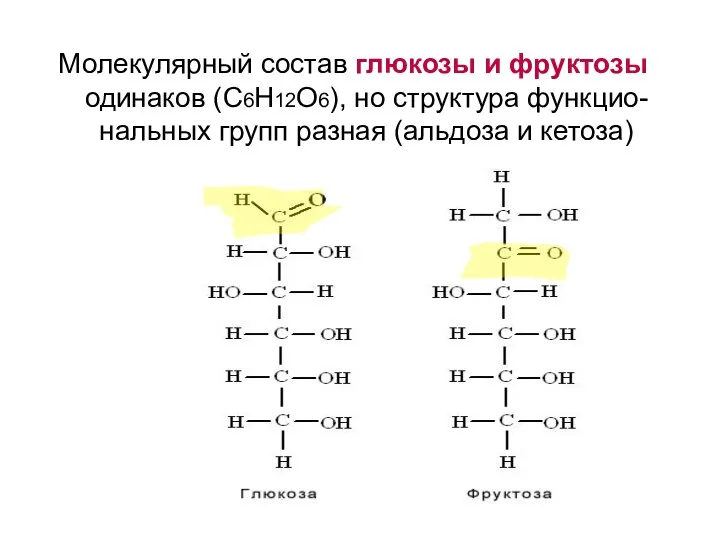 Молекулярный состав глюкозы и фруктозы одинаков (С6Н12О6), но структура функцио-нальных групп разная (альдоза и кетоза)
