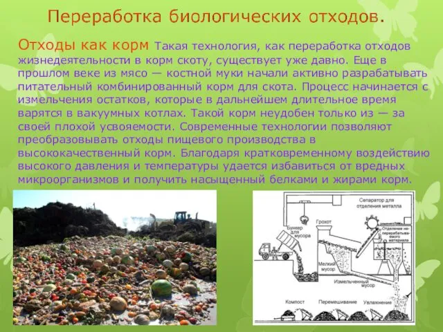 Отходы как корм Такая технология, как переработка отходов жизнедеятельности в