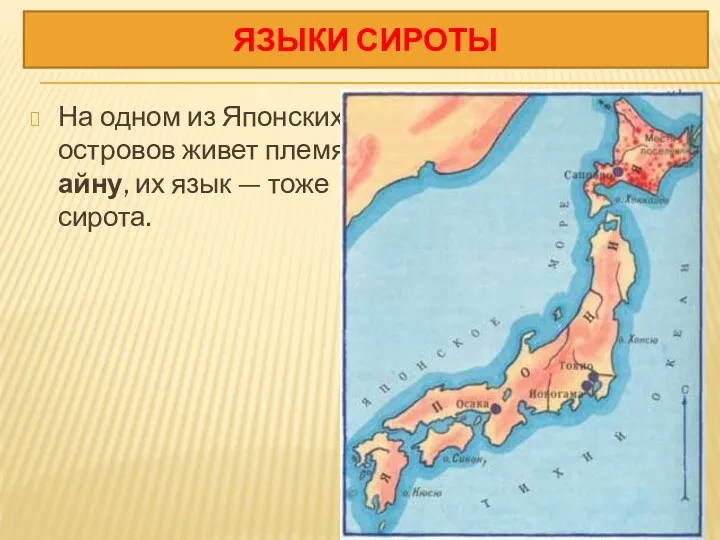 На одном из Японских островов живет племя айну, их язык — тоже сирота. ЯЗЫКИ СИРОТЫ