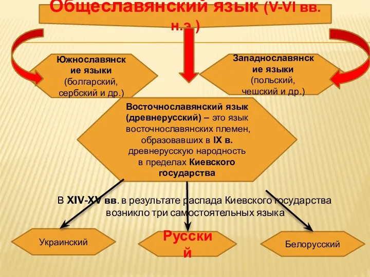 В XIV-XV вв. в результате распада Киевского государства возникло три самостоятельных языка Общеславянский