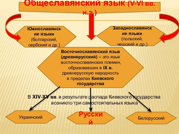 В XIV-XV вв. в результате распада Киевского государства возникло три