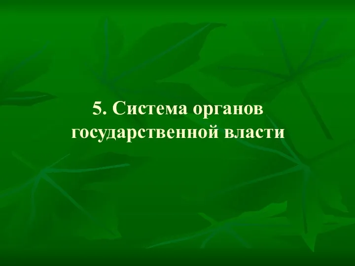 5. Система органов государственной власти