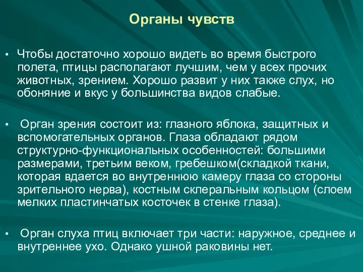 Органы чувств Чтобы достаточно хорошо видеть во время быстрого полета,