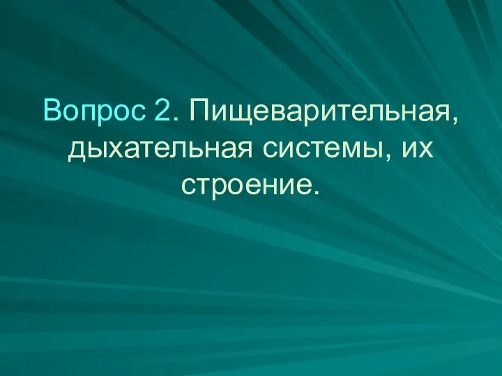 Вопрос 2. Пищеварительная, дыхательная системы, их строение.