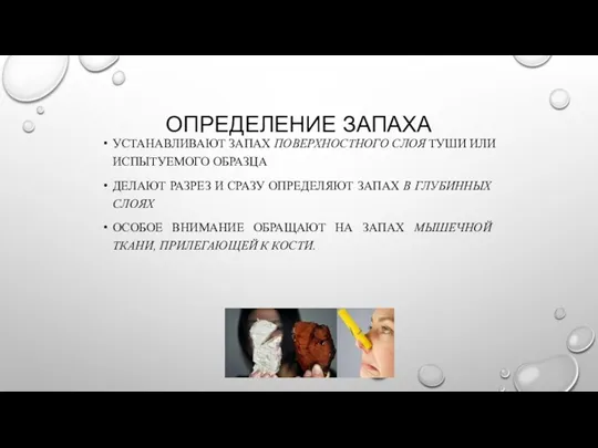 ОПРЕДЕЛЕНИЕ ЗАПАХА УСТАНАВЛИВАЮТ ЗАПАХ ПОВЕРХНОСТНОГО СЛОЯ ТУШИ ИЛИ ИСПЫТУЕМОГО ОБРАЗЦА