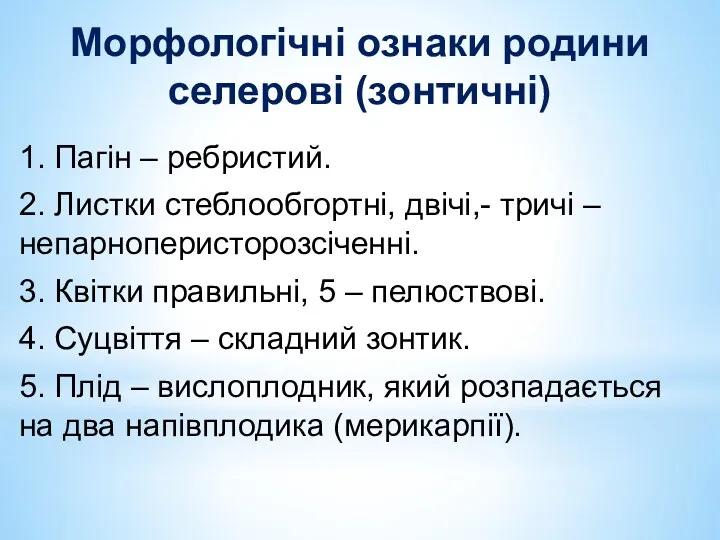 Морфологiчнi ознаки родини селеровi (зонтичнi) 1. Пагiн – ребристий. 2.