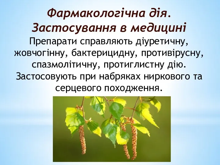 Фармакологiчна дiя. Застосування в медицинi Препарати справляють дiуретичну, жовчогiнну, бактерицидну,