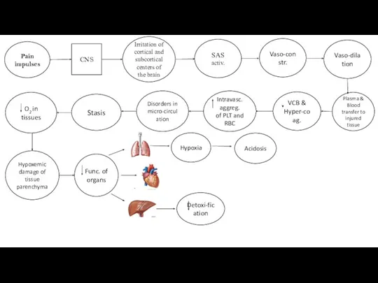 CNS Irritation of cortical and subcortical centers of the brain