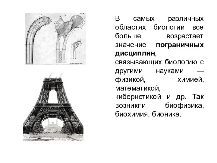 В самых различных областях биологии все больше возрастает значение пограничных