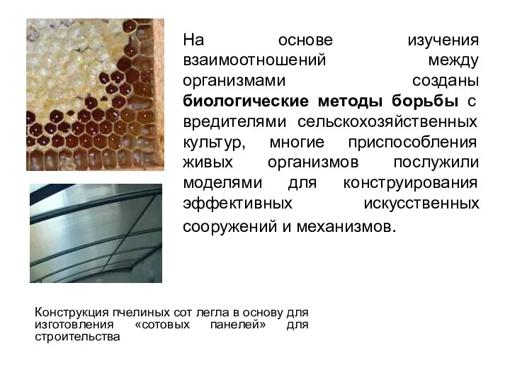 На основе изучения взаимоотношений между организмами созданы биологические методы борьбы с вредителями сельскохозяйственных