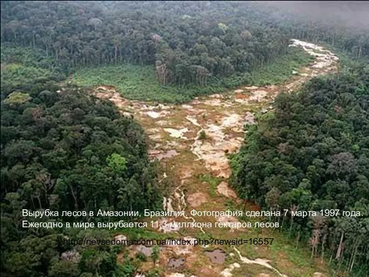Вырубка лесов в Амазонии, Бразилия. Фотография сделана 7 марта 1997 года. Ежегодно в