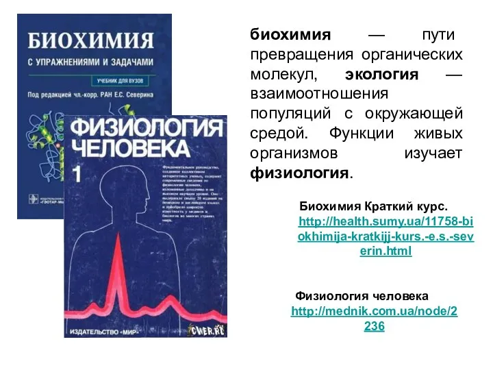 биохимия — пути превращения органических молекул, экология —взаимоотношения популяций с