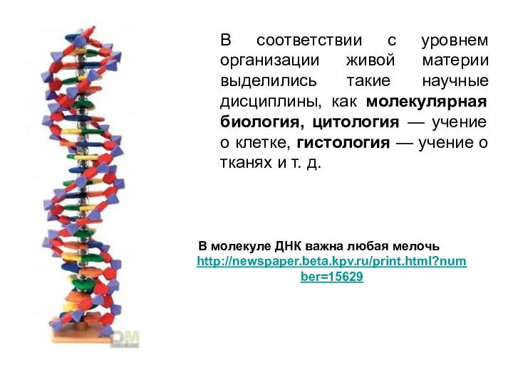 В соответствии с уровнем организации живой материи выделились такие научные