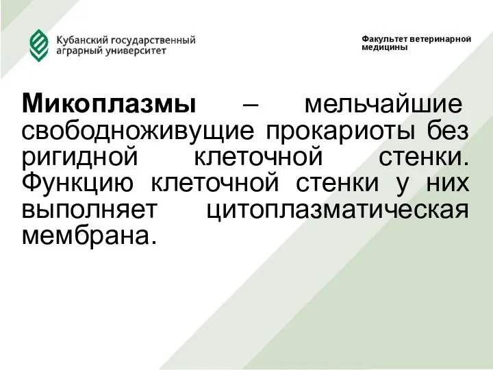 Микоплазмы – мельчайшие свободноживущие прокариоты без ригидной клеточной стенки. Функцию