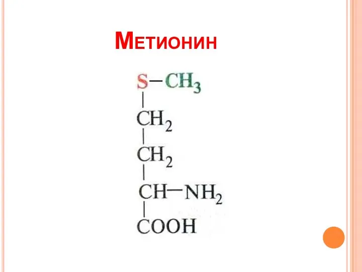 Метионин