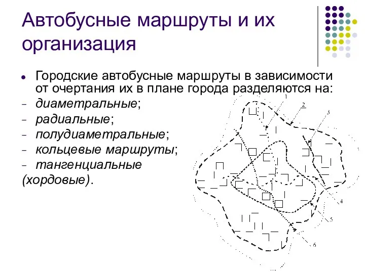 Автобусные маршруты и их организация Городские автобусные маршруты в зависимости