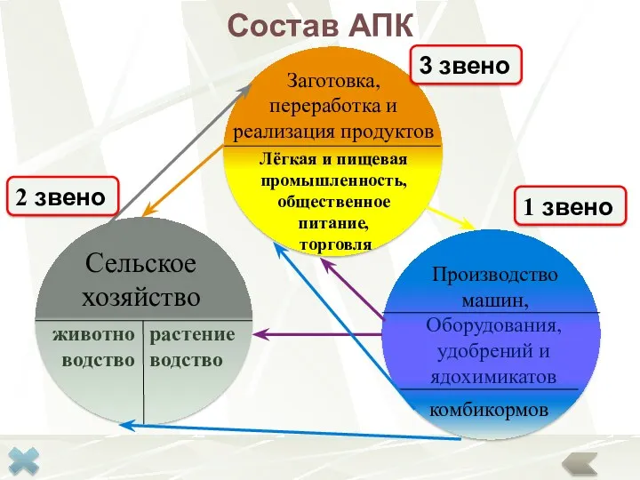 Состав АПК 3 звено 2 звено 1 звено