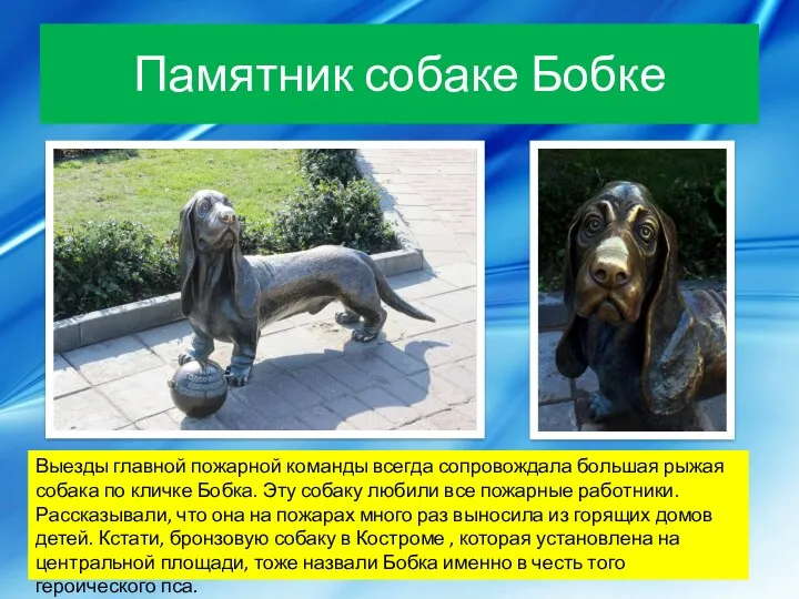 Памятник собаке Бобке Выезды главной пожарной команды всегда сопровождала большая рыжая собака по