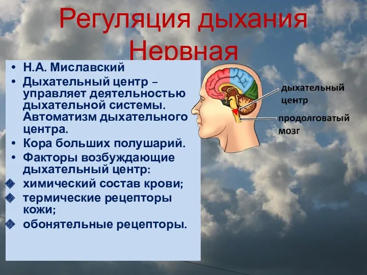 Регуляция дыхания Нервная Н.А. Миславский Дыхательный центр – управляет деятельностью