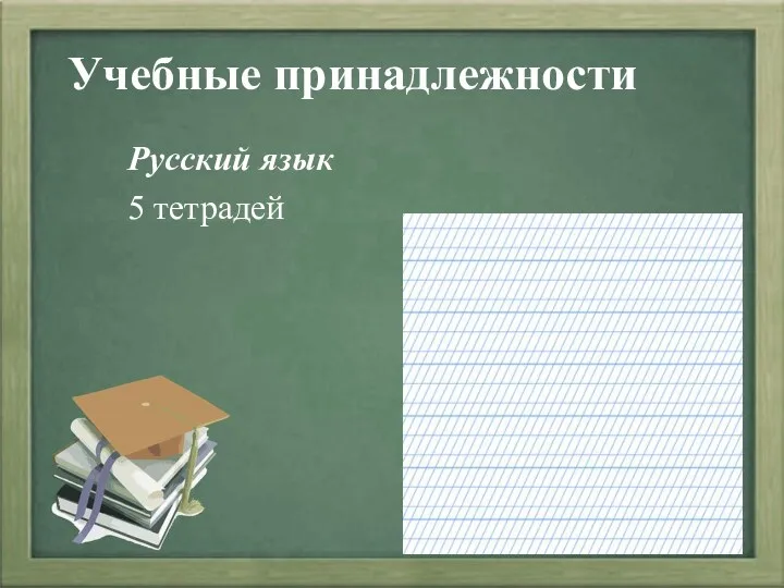 Учебные принадлежности Русский язык 5 тетрадей