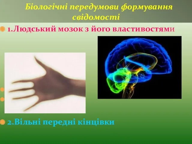 1.Людський мозок з його властивостями 2.Вільні передні кінцівки Біологічні передумови формування свідомості