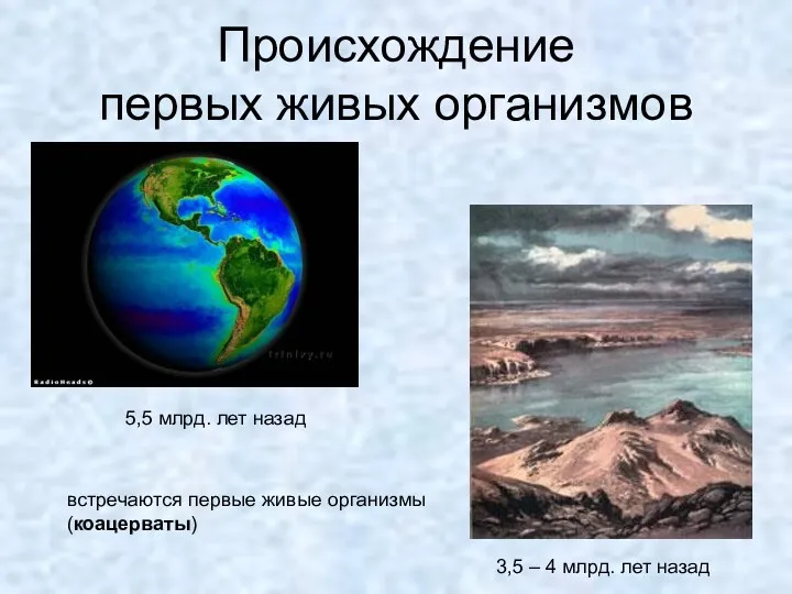 Происхождение первых живых организмов 5,5 млрд. лет назад 3,5 –