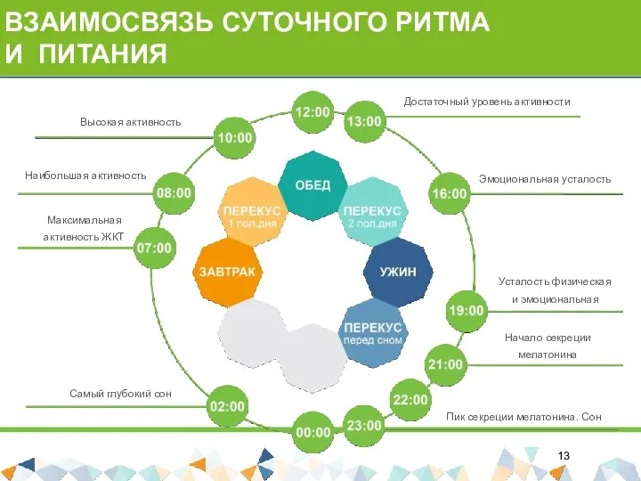 ВЗАИМОСВЯЗЬ СУТОЧНОГО РИТМА И ПИТАНИЯ Эмоциональная усталость Начало секреции мелатонина