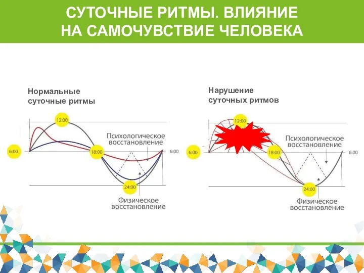 СУТОЧНЫЕ РИТМЫ. ВЛИЯНИЕ НА САМОЧУВСТВИЕ ЧЕЛОВЕКА Нормальные суточные ритмы Нарушение суточных ритмов