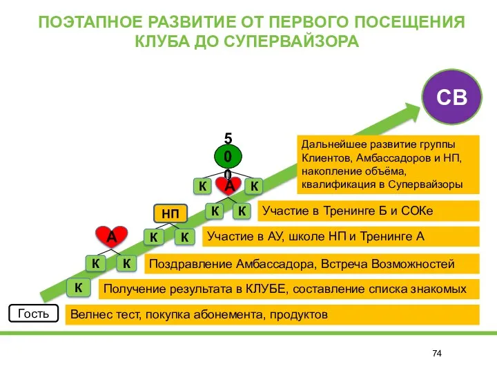 ПОЭТАПНОЕ РАЗВИТИЕ ОТ ПЕРВОГО ПОСЕЩЕНИЯ КЛУБА ДО СУПЕРВАЙЗОРА Гость Велнес