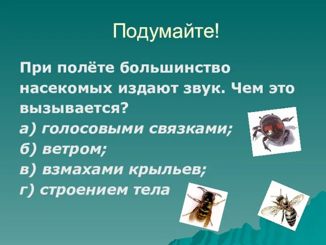 Подумайте! При полёте большинство насекомых издают звук. Чем это вызывается?