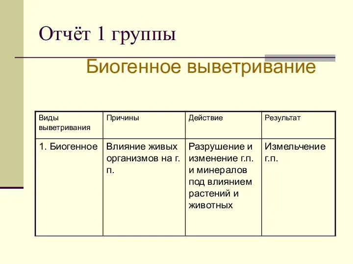 Отчёт 1 группы Биогенное выветривание