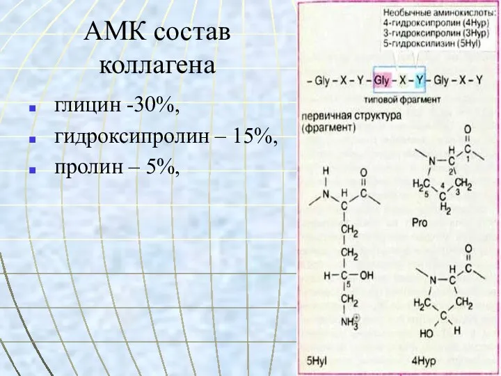 АМК состав коллагена глицин -30%, гидроксипролин – 15%, пролин – 5%,