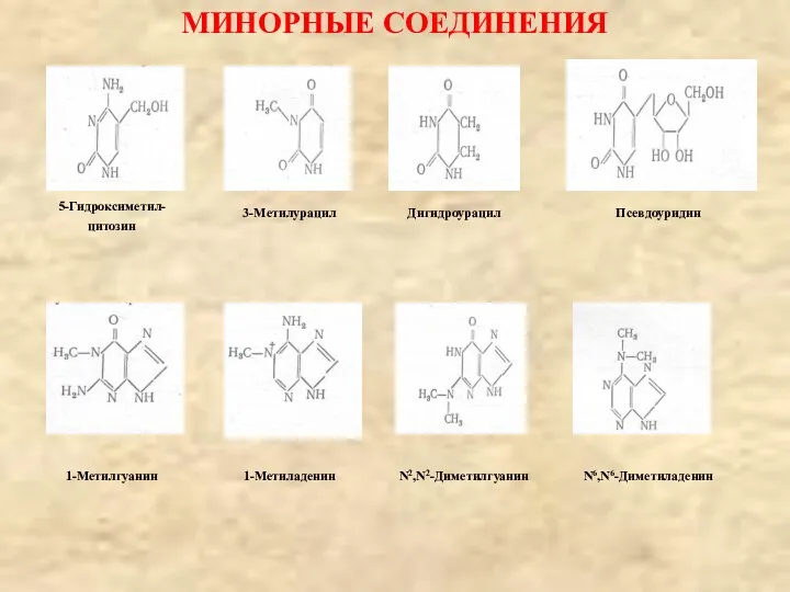 МИНОРНЫЕ СОЕДИНЕНИЯ 5-Гидроксиметил- цитозин Дигидроурацил 3-Метилурацил Псевдоуридин 1-Метилгуанин 1-Метиладенин N2,N2-Диметилгуанин N6,N6-Диметиладенин
