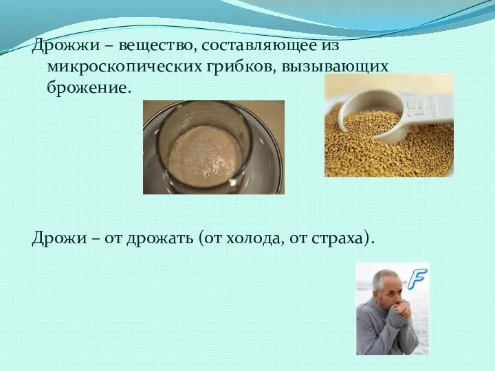 Дрожжи – вещество, составляющее из микроскопических грибков, вызывающих брожение. Дрожи