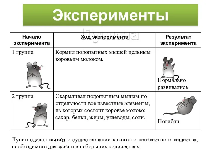 Эксперименты Лунина Лунин сделал вывод о существовании какого-то неизвестного вещества, необходимого для жизни в небольших количествах.