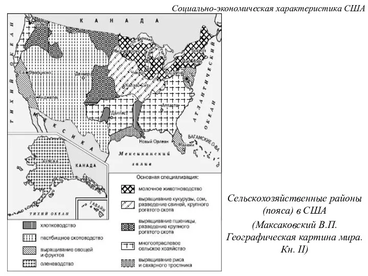 Сельскохозяйственные районы (пояса) в США (Максаковский В.П. Географическая картина мира. Кн. II) Социально-экономическая характеристика США